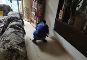 商场开荒 | 支持甲醛检测、化纤地毯、烟囱清洗等 | 宏海洋 商场开荒 | 支持甲醛检测、化纤地毯、烟囱清洗等 | 宏海洋