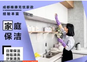 新居开荒保洁,深度保洁,家电清洗,楼宇开荒,厂房保洁,地毯清 新居开荒保洁,深度保洁,家电清洗,楼宇开荒,厂房保洁,地毯清